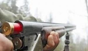 Прокуратура Київської області добилася у суді повернення державі мисливських угідь площею понад 15 000 гектарів﻿﻿