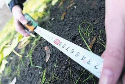 Уряд виділив кошти на запровадження ґрунтознавчої судової експертизи 