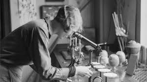 У світі науки і інформатики як і раніше панують чоловіки і це потрібно змінювати