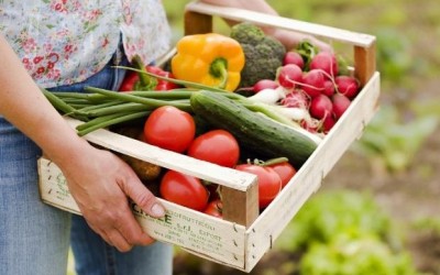 Президент підписав Закон про вимоги до органічної продукції 