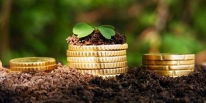 На Хмельниччині прокуратура викрила неправомірну передачу підприємцю 154 гектарів земель