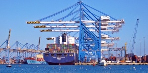 Морське фрахтування: застосування проформ у практиці