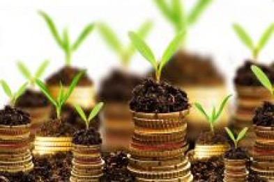 У ДФС нагадали, кому і на яких умовах надаються пільги при сплаті земельного податку