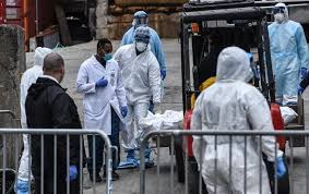 Експерти: щоб уникнути пандемій у майбутньому, необхідно змінити підхід до їх запобігання і ставлення до природи