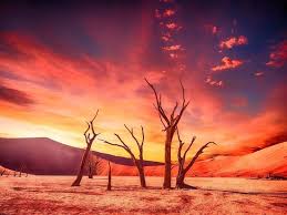 Зміна клімату і «тепловий стрес» загрожують економічними втратами в 2,4 трильйона доларів