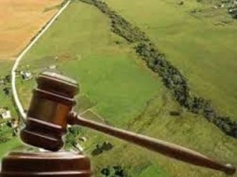Відумерла спадщина: громаді повернули 13 га на 1,3 млн