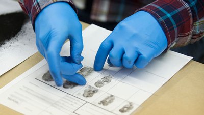Відкрито дисциплінарні провадження щодо 5 судових експертів
