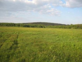 Державі повернуто земель на 9 млн грн