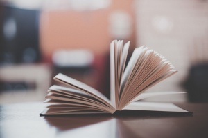 Парламент запровадив дозволи на ввезення книг з Росії та окупованих територій