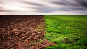 Захистили інтереси держави у сфері користування землями дитячих закладів на 2 млн грн