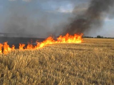 Набув чинності закон про штрафи за спалення сухої трави