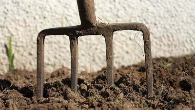 У Нотаріальній палаті розповіли, як можна врятуватися від аграрного рейдерства 