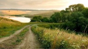 Прокуратура вимагає через суд розірвати договір оренди землі на понад 854 тис грн