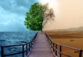 Всесвітня метеорологічна організація: зміна клімату призвела до рекордних фінансових втрат, масових переселень і поширенню хвороб