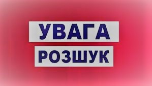 Ексголову Конституційного Суду оголосили в міжнародний розшук