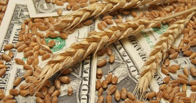 В Україні запускають загальнодержавний Реєстр аграрних розписок