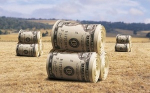 Зміни у правовому регулюванні держпідтримки сільського господарства: проблема  ефективності 