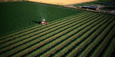 Незабаром Уряд представить остаточний варіант концепції земельної реформи 